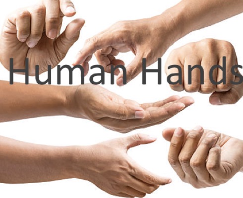 image of human hands